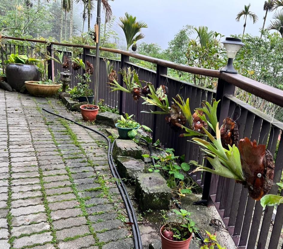 Bed and Breakfast 仲明居zhong Ming Ju Taoyi Fang Fanlu Esterno foto